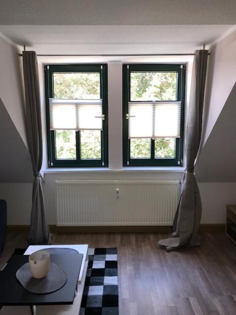 Gaestewohnung Saaleblick Weißenfels Exteriör bild